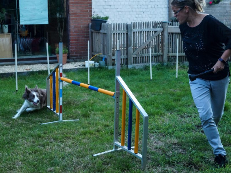 Keynote the happy pack leader