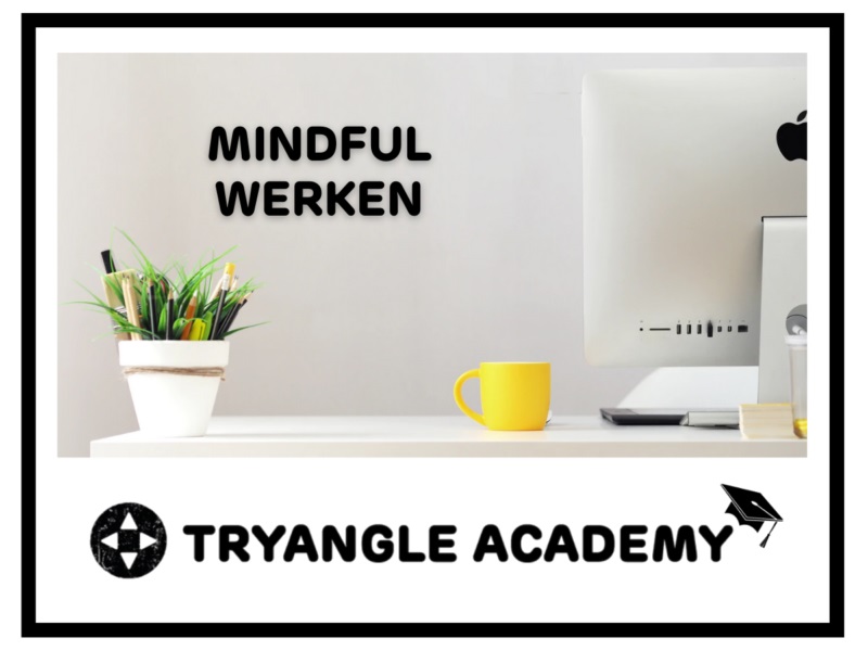 E-learning mindful werken