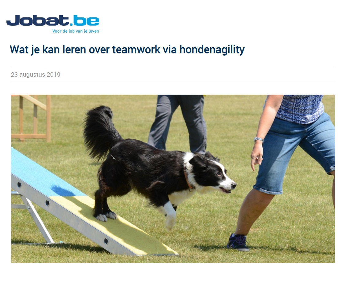 Teamwork en hondenagility Jobat
