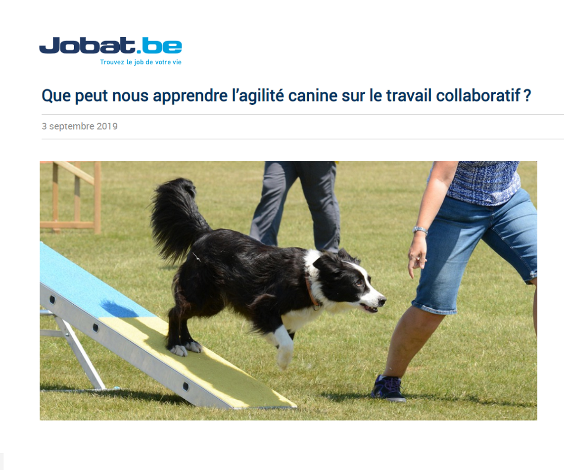 2019.09 Lagilite canine et le travail collaboratif Jobat - thumbnail FR