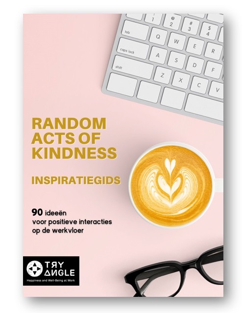 Ebook RAOK NL shadow 2025