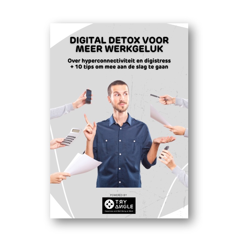 Digital Detox Ebook NL