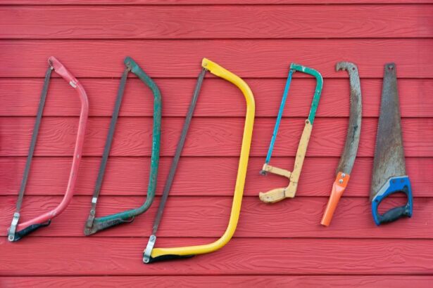 Klaag- en zaagcultuur