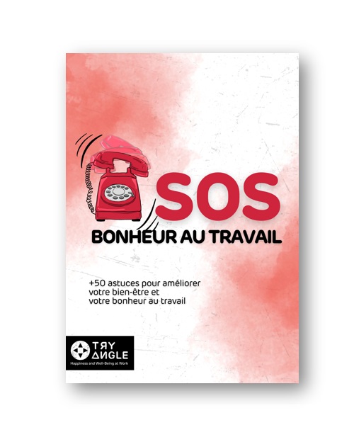 SOS bonheur au travail e-book FR