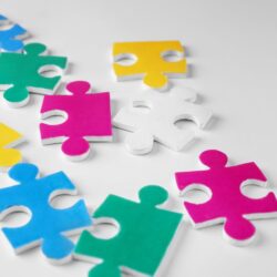 micro inclusies micro inclusies