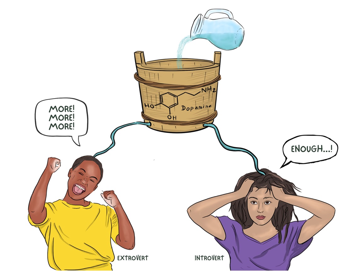 introvert extravert dopamine (ArtEd)