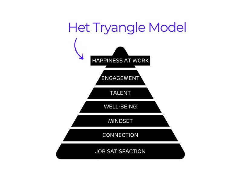 Het Tryangle model - web
