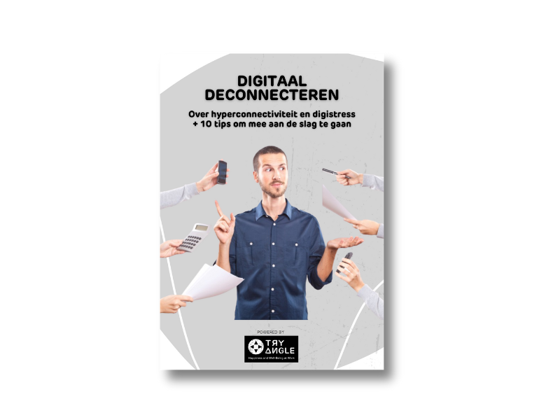 Digitaal deconnecteren e-book